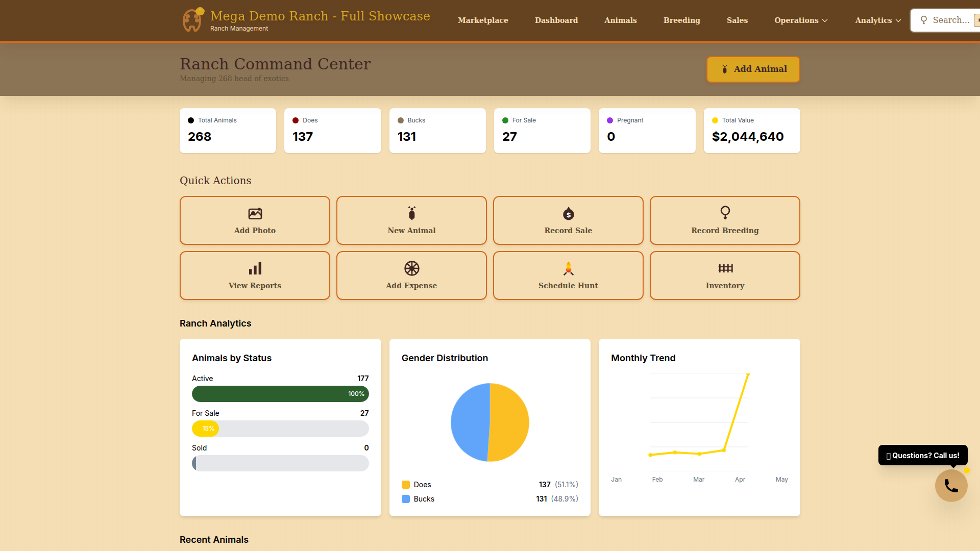 Analytics Dashboard Screenshot